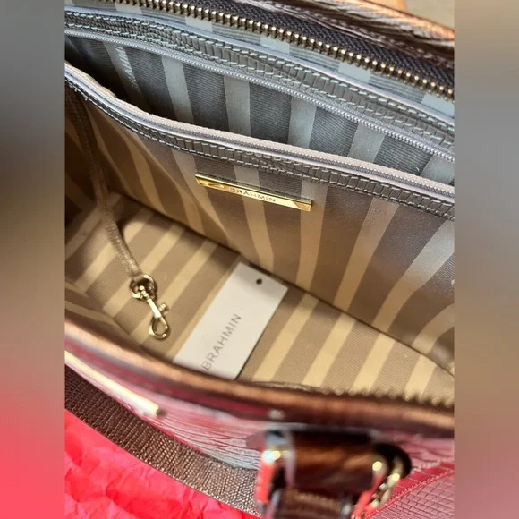 Brahmin Mini Asher Ray Artemisa satchel